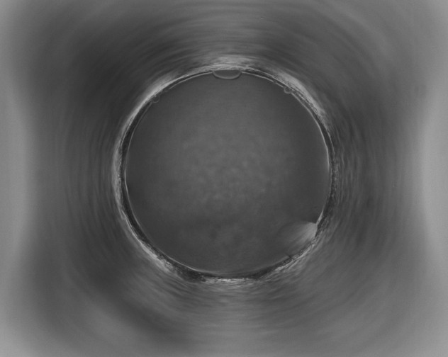 X0000116451235200912151253