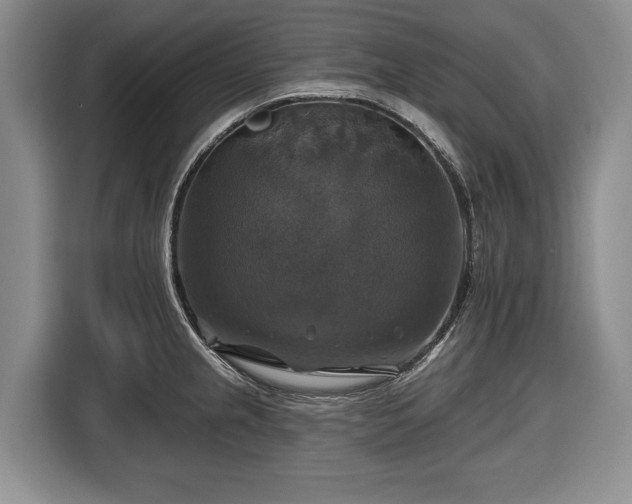 X0000116451237200912151253