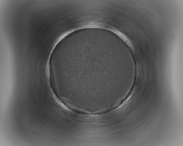 X0000116451238200912151253