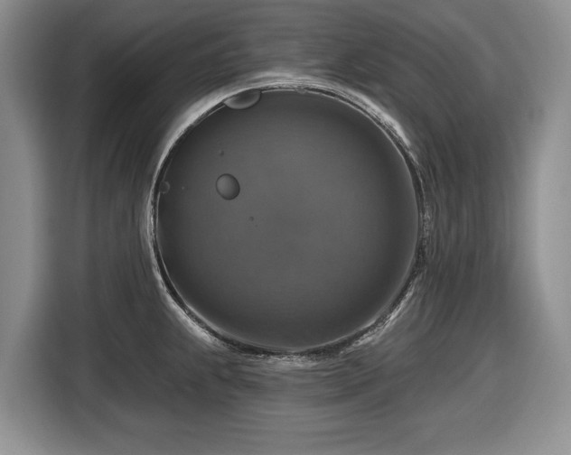 X0000116451239200912151254