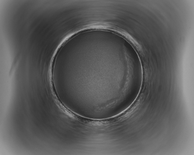 X0000116451240200912151254