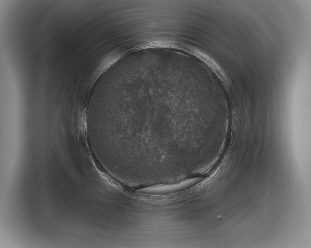 X0000116451241200912151254
