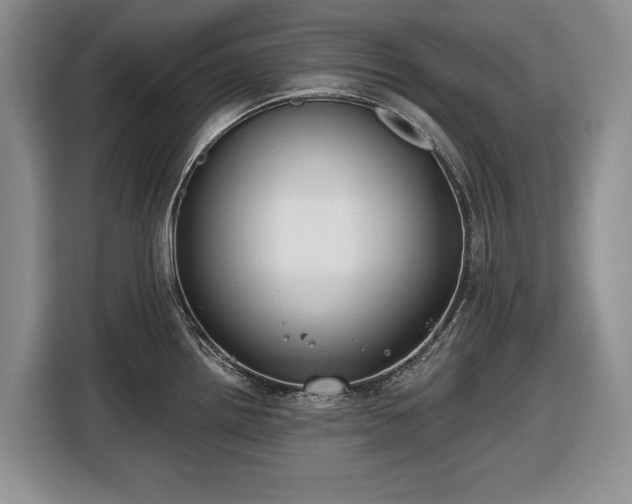X0000116451242200912151254