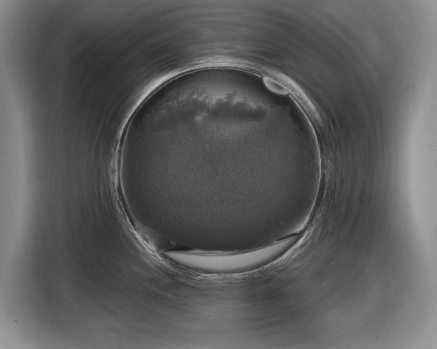X0000116451244200912151254