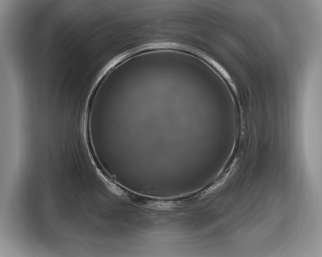 X0000116451245200912151254