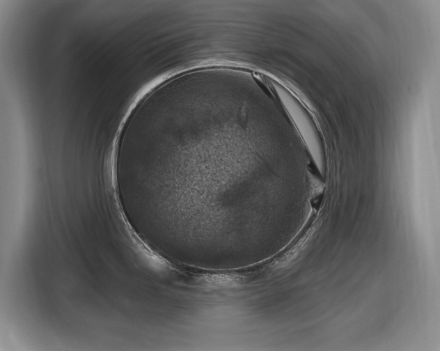 X0000116451246200912151254