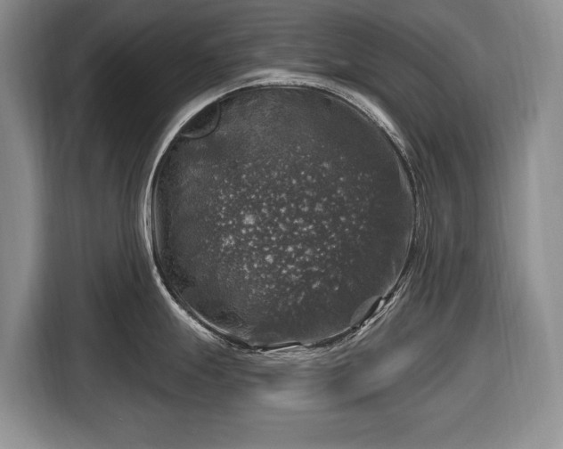 X0000116451247200912151254