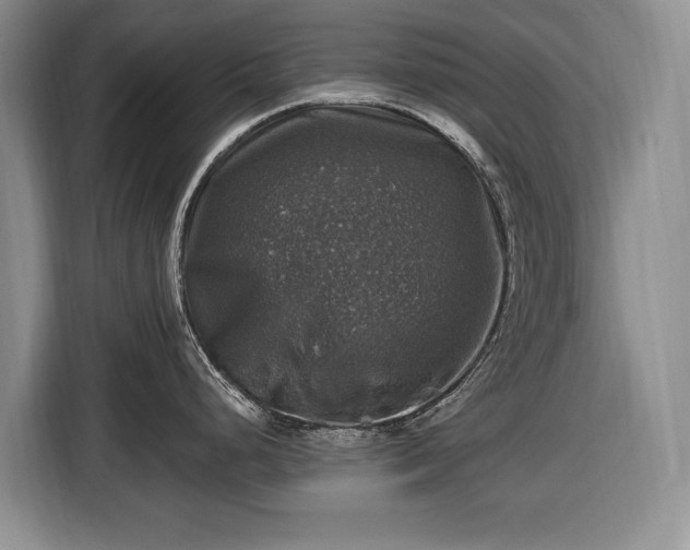 X0000116451248200912151254