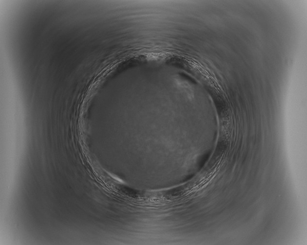X0000116451249200912151253