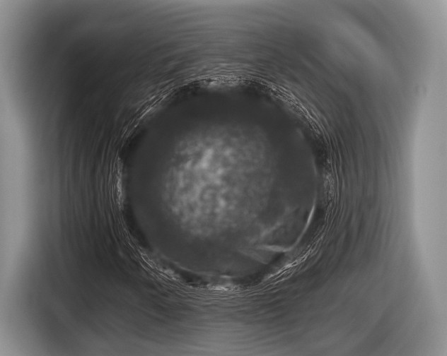 X0000116451250200912151253
