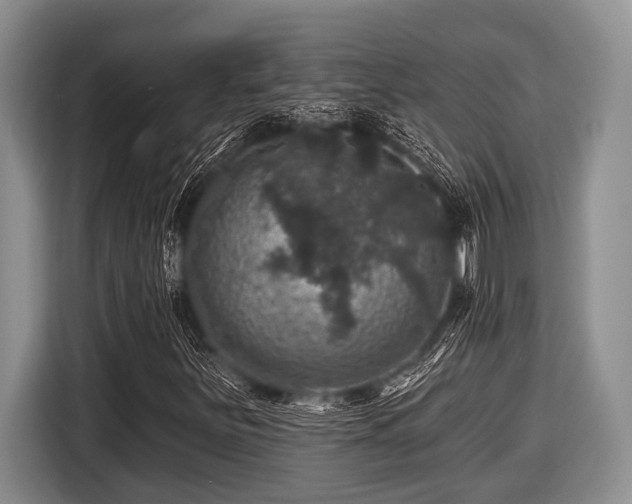 X0000116451251200912151253