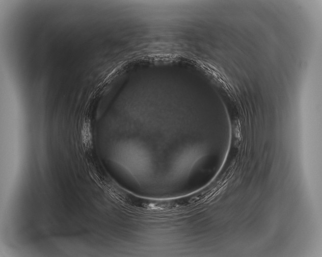 X0000116451252200912151253