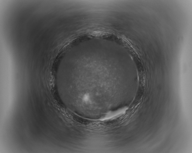 X0000116451253200912151253