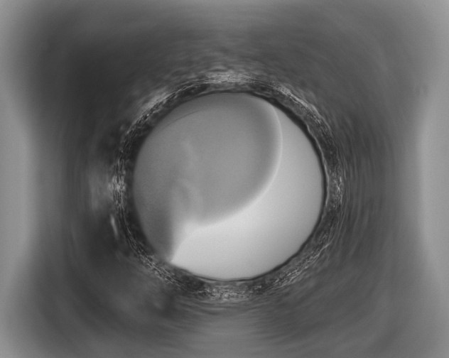 X0000116451254200912151253