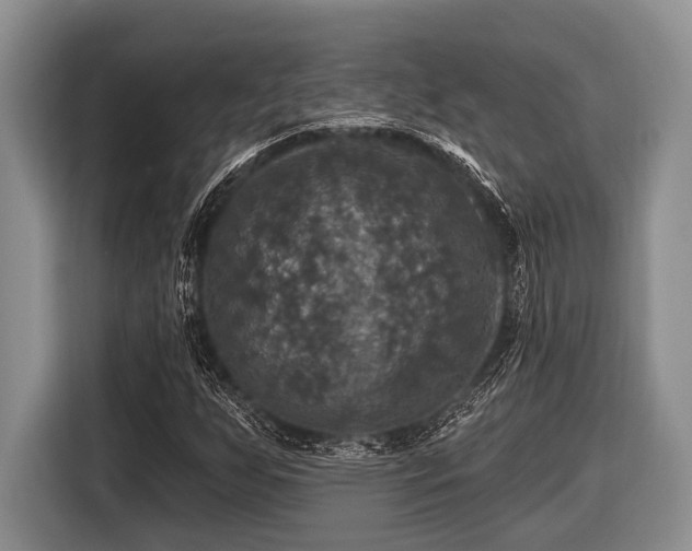X0000116451255200912151253