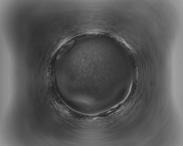 X0000116451256200912151253