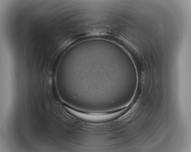 X0000116451257200912151253