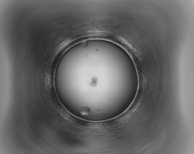X0000116451259200912151253