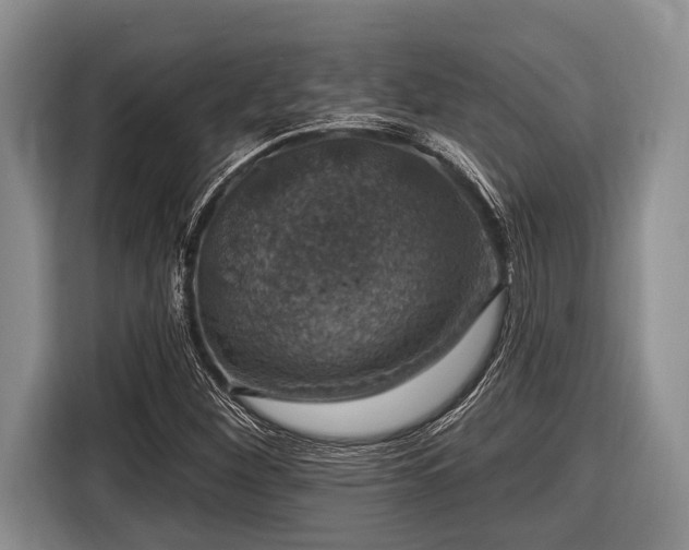 X0000116451260200912151253