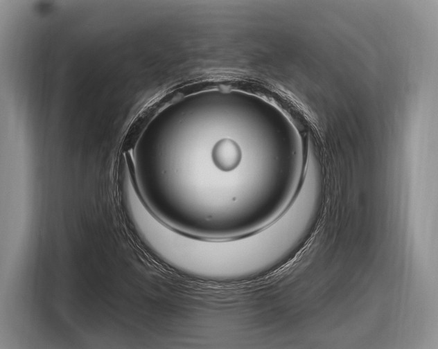 X0000116451261200912151253