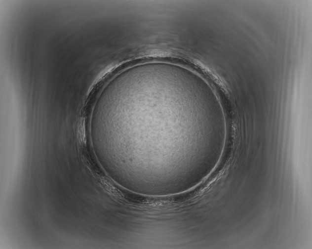 X0000116451262200912151253