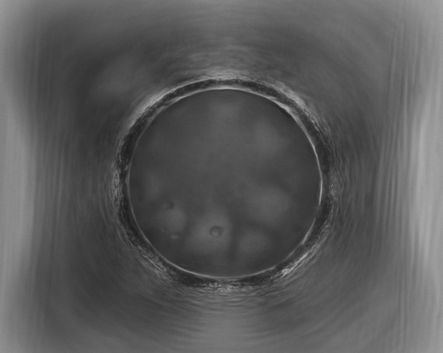 X0000116451263200912151253