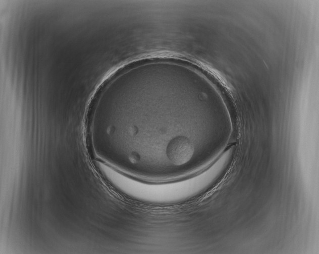 X0000116451264200912151253