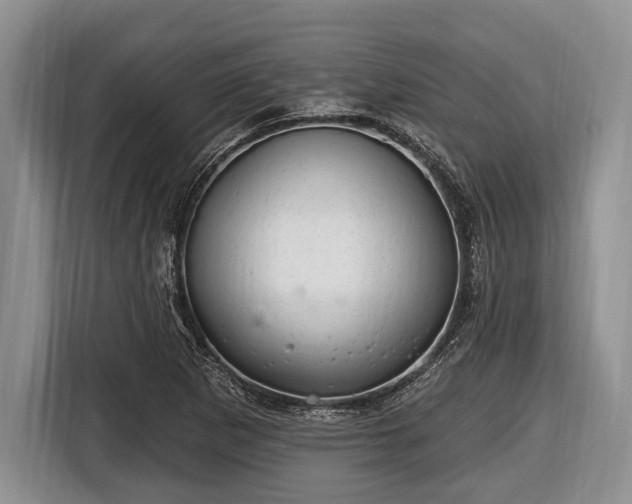X0000116451265200912151253