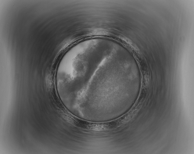 X0000116451266200912151253