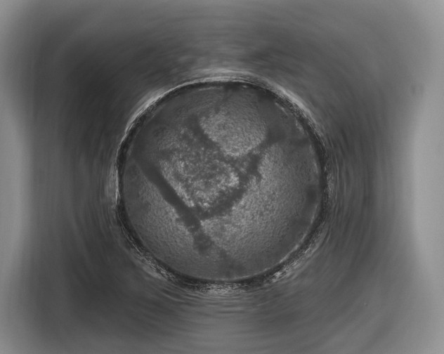 X0000116451267200912151253