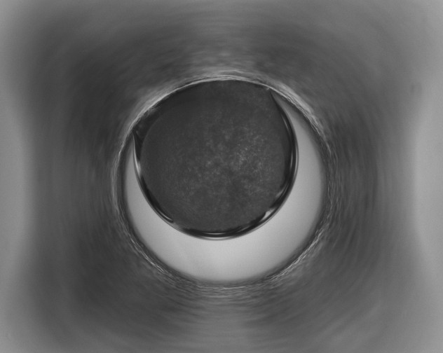 X0000116451269200912151253