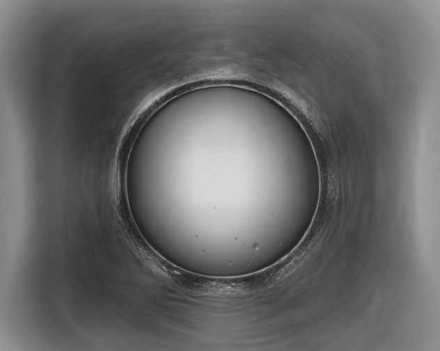 X0000116451270200912151253