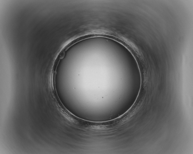 X0000116451272200912151253