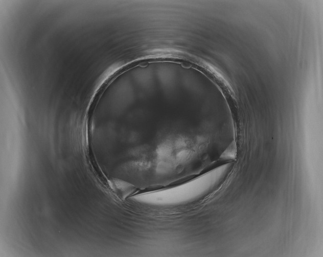 X0000116451275200912151253