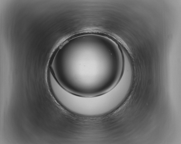 X0000116451277200912151253