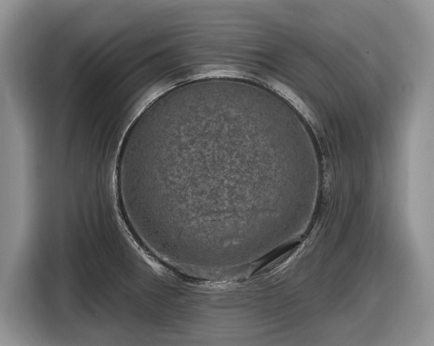 X0000116451282200912151253