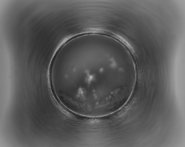X0000116451283200912151253
