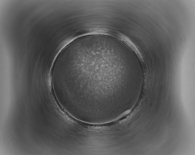 X0000116451284200912151253