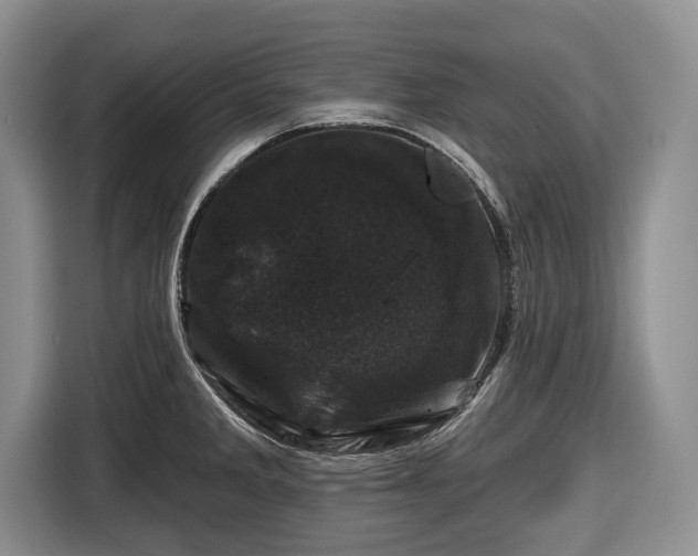 X0000116451285200912151253