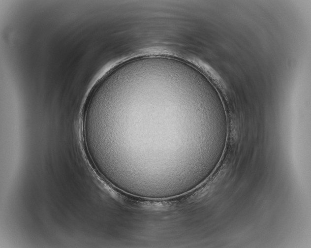 X0000116451286200912151253
