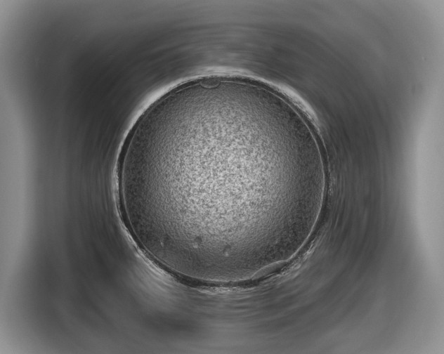 X0000116451287200912151253