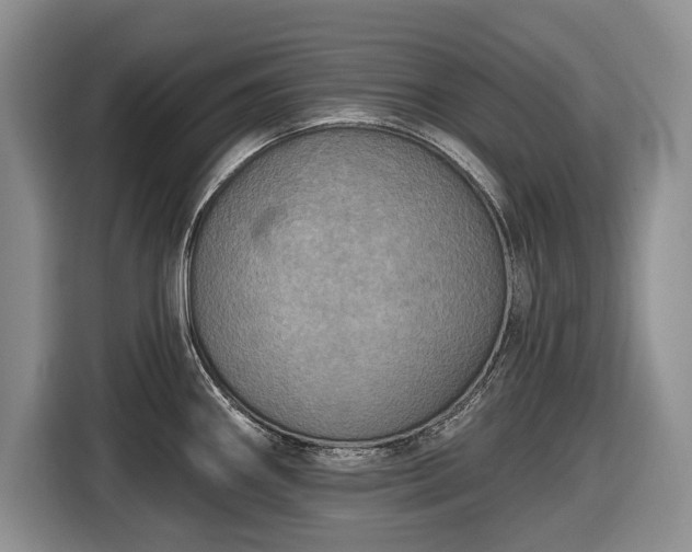 X0000116451290200912151252