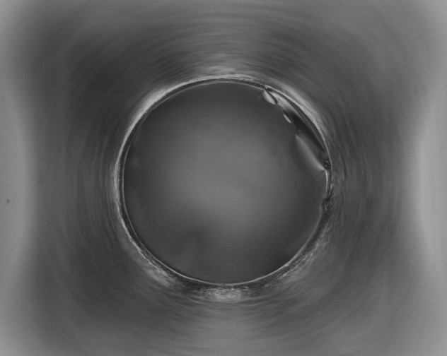 X0000116451291200912151252