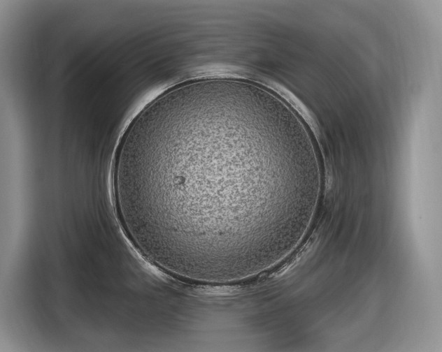 X0000116451293200912151252