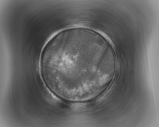 X0000116451294200912151252