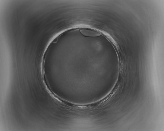 X0000116451295200912151252