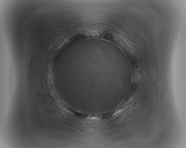 X0000116451297200912151252