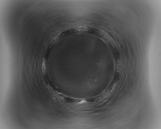 X0000116451298200912151252