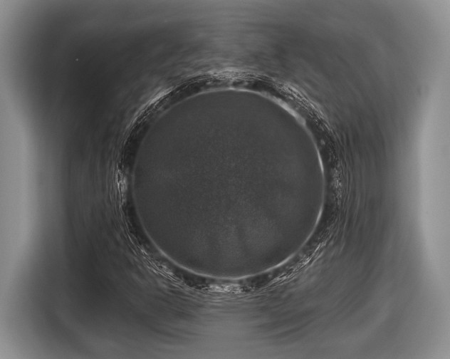 X0000116451302200912151252
