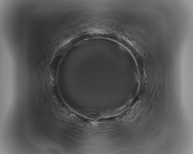 X0000116451303200912151252